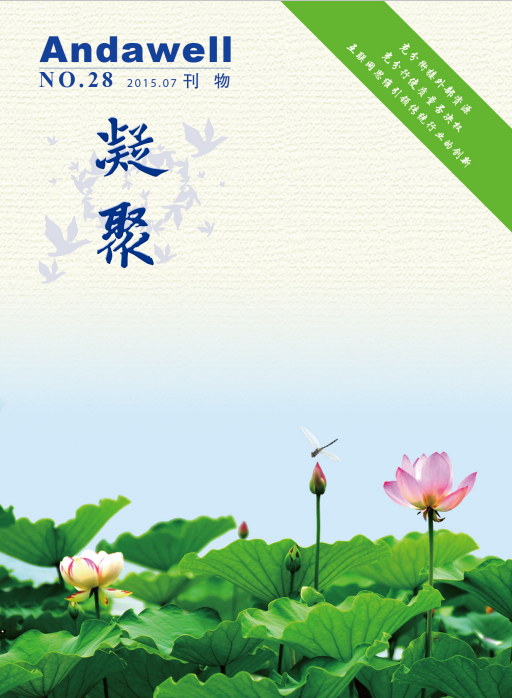 ��ͧ�ᡤyth206(�й�)���¹ٷ���վ